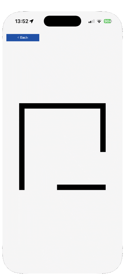 raylib's logo assembling itself
