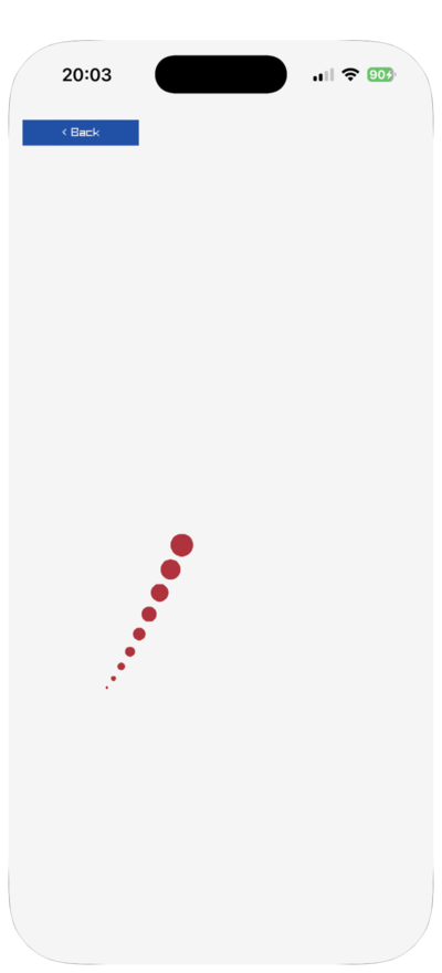 A fading trail following the primary pointer
