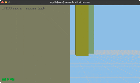 camera-3d-first-person