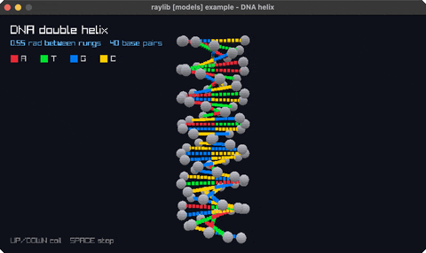 dna-helix