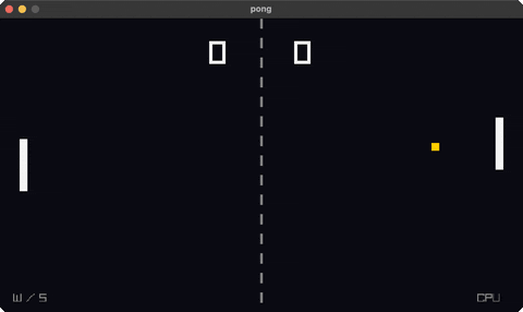 pong